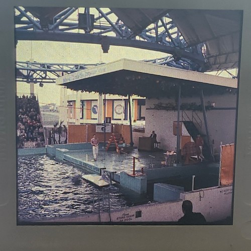 Vintage medium format slide - format,